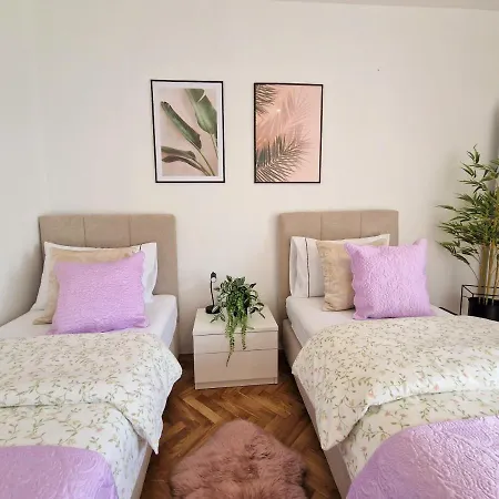 Luminous Apartment